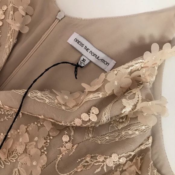 Dress the Population Chelsea Lace A-Line Gown - Picture 6 of 8